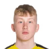 Daniel Ingi Johannesson logo