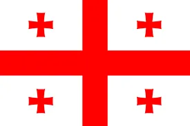 Georgia Indoor Soccer logo