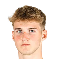 henrijs auseklis logo