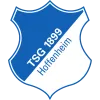 Hoffenheim U19 logo