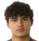 Stephano Carrillo logo