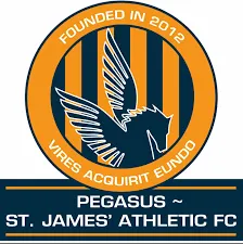 Pegasus logo