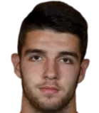 Nemanja Vjestica photo 