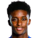 Demarai Gray logo