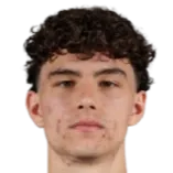 Dominik Nisandzic logo