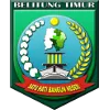 PS Belitung Timur logo