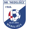 NK Nedelisce logo