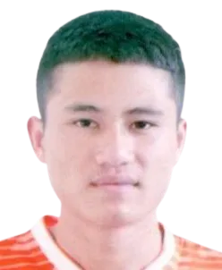 hoang phi nguyen logo