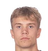 Niklas Vesterlund logo