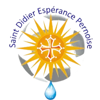 Saint-Didier Pernoise W logo