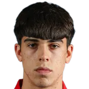 Strahinja Stojković logo