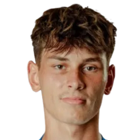 David Krupička logo