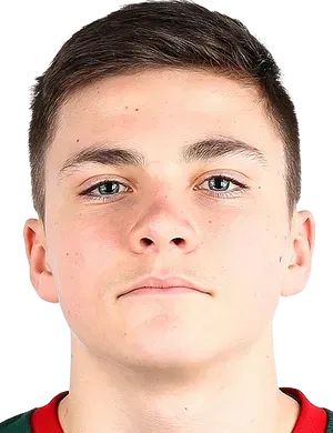 Mikhail Shchetinin logo