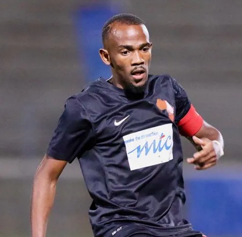 Dynamo·Fredericks logo