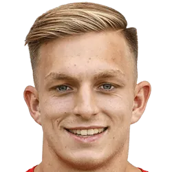 Daniel Scharner logo