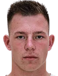 Vladimir nazarov logo