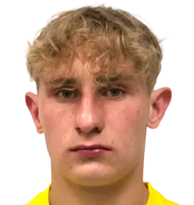 Sergei varatynov logo