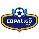 Bolivian Primera Division photo 