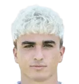 Asaf Avraham Arania logo