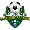 Brazilian Mato-grossense Division 1 photo 