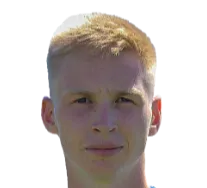 denis mikhailov logo