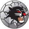 Woongarrah Wildcats FC logo