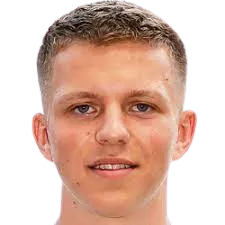 Natanas Zebrauskas logo