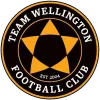 Team Wellington logo