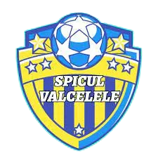 AS Spicul Valcelele logo