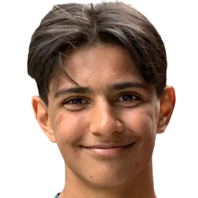 Gustav Erik Lillienberg logo