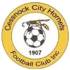 Cessnock City Hornets logo