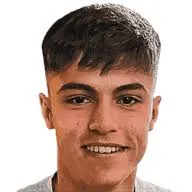 Facundo Di Biasi logo