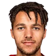 J. van Wolfgang logo