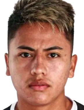 Alexander Lecaros Aragón logo