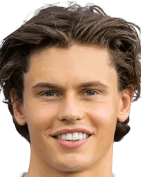 Henrik Elvevold logo