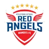 Incheon Hyundai Steel Red Angels Women logo