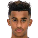 Othman Al-Othma logo