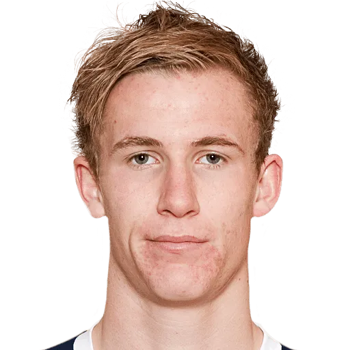 Viljar Helland Vevatne logo