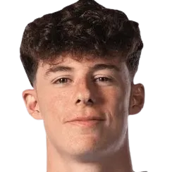 Lander Pinillos Wilson logo