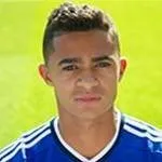 Cameron Stewart logo