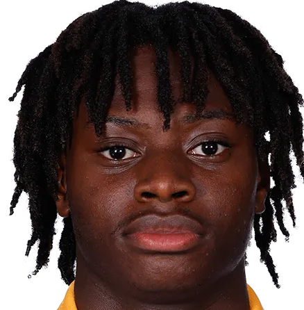 Nana Owusu-Gyimah logo