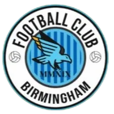 Birmingham Academy (W) logo