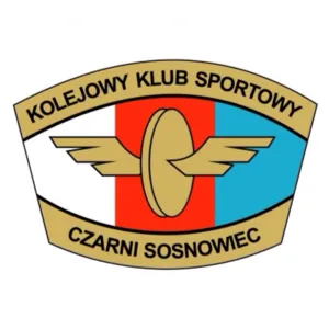 Czarni Sosnowiec Women logo
