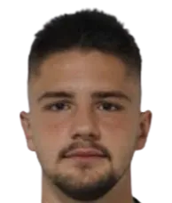 bakir brajlovic logo