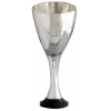 Danish Cup Winner logo