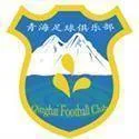 Qinghai Province Youth Football(2011-2012) logo