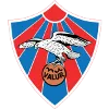 Valur Reykjavik U19 logo