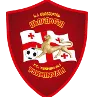 FC Tskhinvali U19 logo
