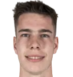 michal willmann logo