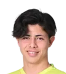 Alexandre Pisano logo